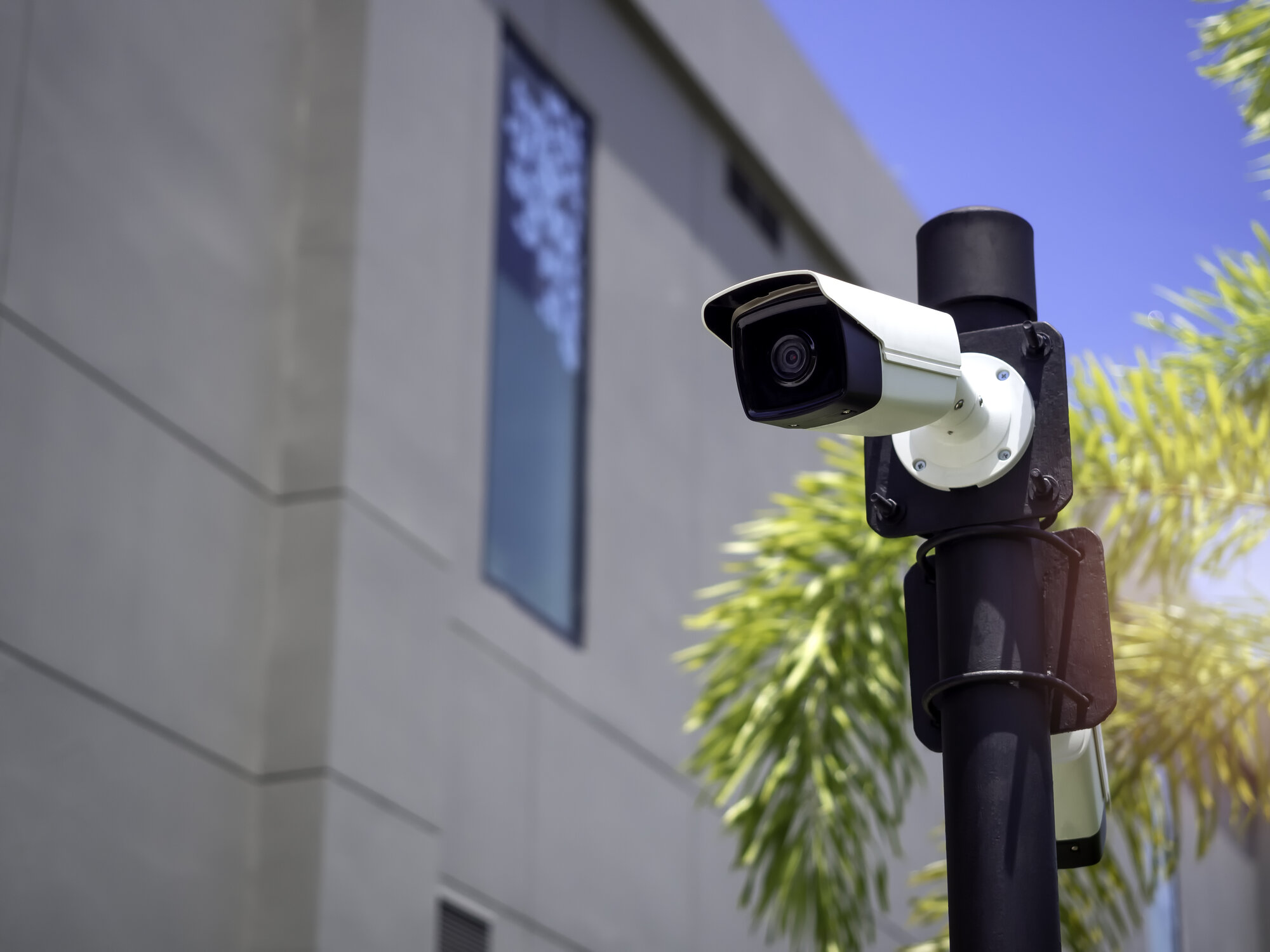 white-cctv-cameras-black-pole-garden-near-building white-cctv-cameras-black-pole-garden-near-building